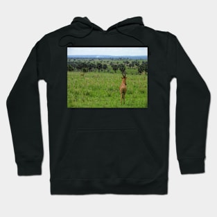 Ugandan Safari Hoodie